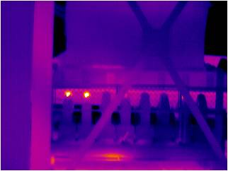 Heated bearing on belt system